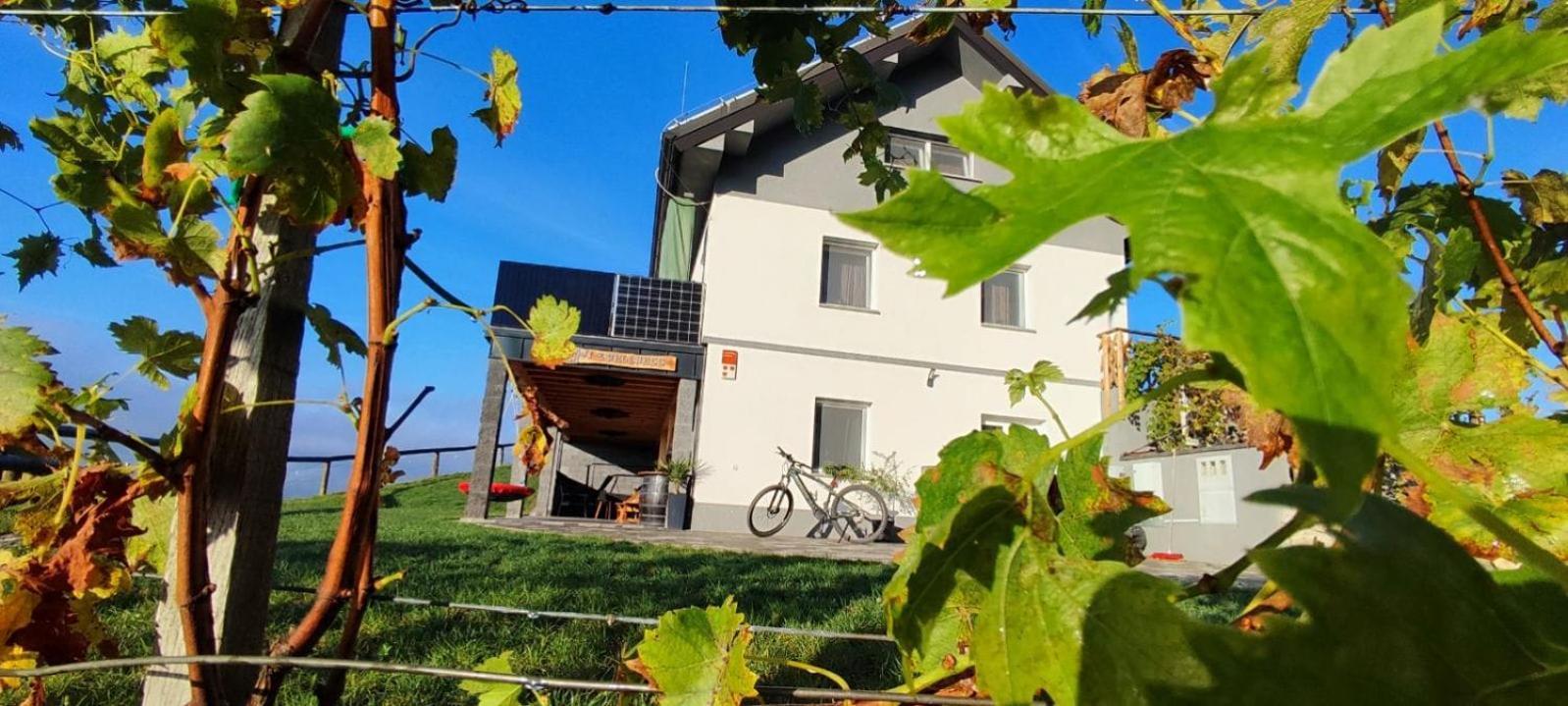 Apartmaji Gracner Dramlje Екстер'єр фото